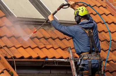 Démoussage et hydrofuge de toiture à Viéthorey